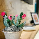 My Loft - Апартаменты *