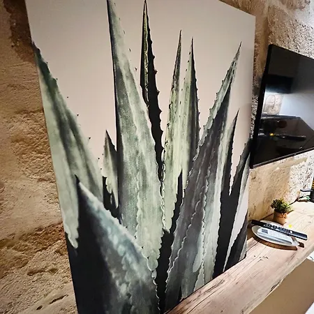 My Loft -