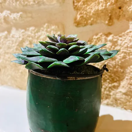 My Loft - Апартаменты Монополи